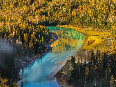 商家能否关闭抖音月付？操作指南与“安出掌柜”辅助决策建议