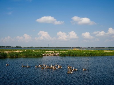 花呗免息期怎么用最划算？掌握规则+工具辅助更安心