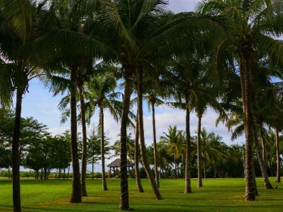 出财小神助力银行卡还花呗：智能提醒+安全扣款，告别逾期烦恼