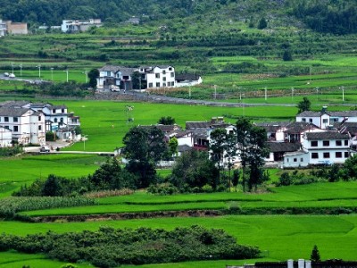 频繁白条取现遇困扰？出财小神教你聪明用、少踩坑