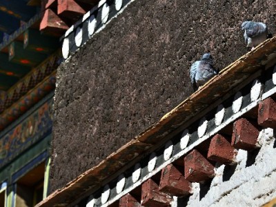 商家必看！开通花呗收款攻略，“出财小神”助力生意更红火