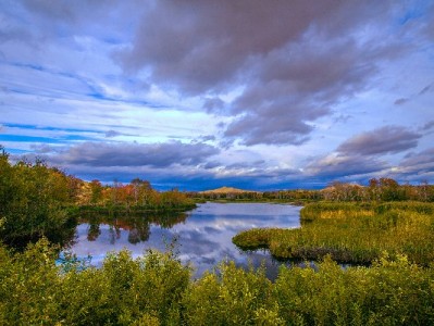 花呗微信给他人使用可行吗？这些方法和风险需了解