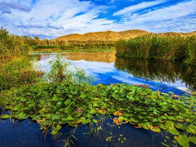 抖音月付+出财小神男士裤：百元好裤分期买，体面舒适无压力