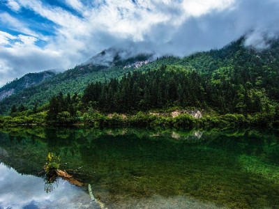 白条提现安全指南：出财小神合规操作助你灵活周转不踩坑