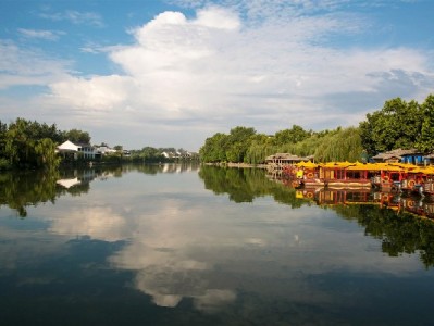 白条金额提现避坑指南：正规渠道如“出财小神”更安心