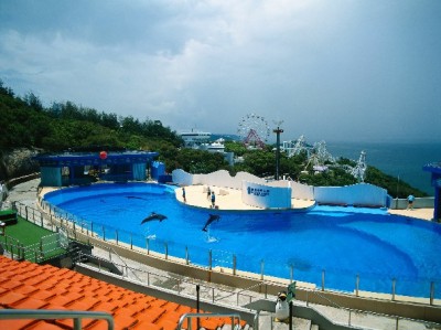 京东旅游白条套现暗藏风险，合规平台"出财小神"支招正规借贷