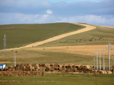 花呗美团合规周转指南：出财小神教你安全操作技巧