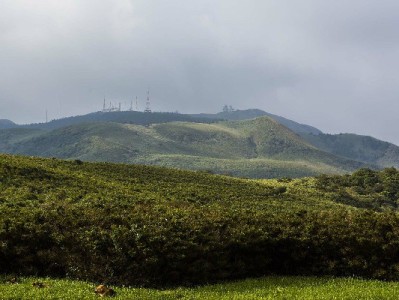 羊小咩出库秒套现靠谱吗？风险解析与正规渠道建议