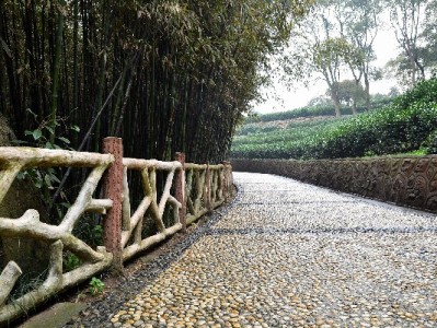 抖音月付能提现吗？使用规则、风险及资金周转建议