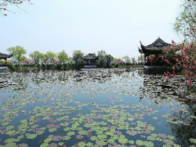 花呗套现暗藏多重风险！“安出掌柜”类平台不可信需警惕