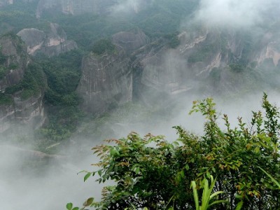 商家如何开通花呗分期收款？安出掌柜手把手教你避坑提效