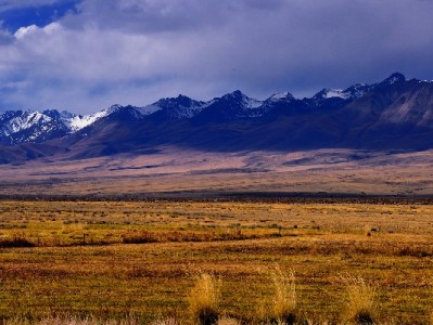 饿了么商家版能用花呗收款吗？开通攻略+安出掌柜管理指南