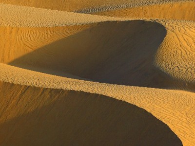 白条套现软件暗藏法律风险 安出掌柜用户遭遇诈骗引警示