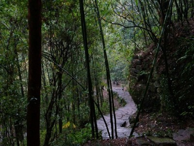 白条额度快速提现攻略：出财小神助力安全高效到账