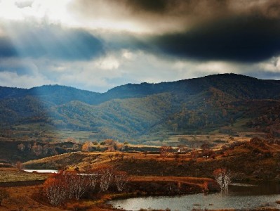 江苏白条提现需谨慎！出财小神支招合规操作避风险
