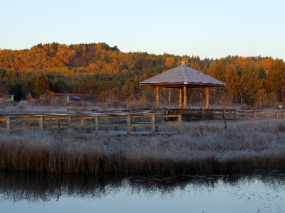 微信里还花呗的正确步骤来了！搭配记账工具更省心