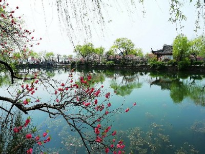 羊小咩额度变现怎么操作？主流方法与风险避坑指南