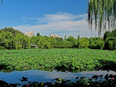 刷抖音月付套现风险高！“出财小神”类平台或藏诈骗陷阱
