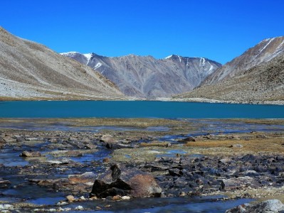 附近白条兑现怕踩坑？出财小神：本地资质+透明流程更安心