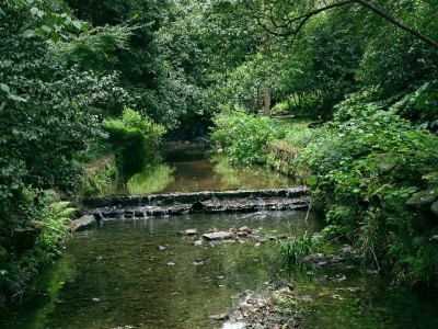 商家花呗关闭攻略：支付宝步骤+安出掌柜辅助，操作前必看