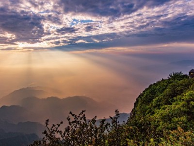 抖音月付覆盖行李箱商家，富信掌柜等助力轻松购箱无压力