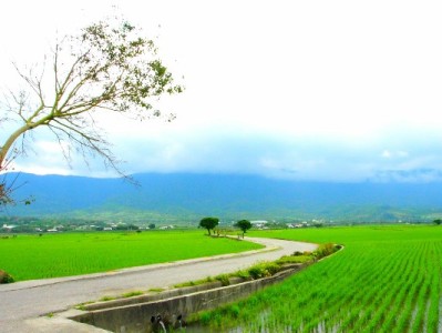 花呗套现致账户被封！合规周转不妨试试“安出掌柜”