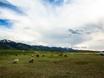 抚州花呗提现别犯难！出财小神教你合规安全新路径