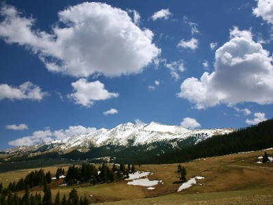 京东白条能提现吗？出财小神揭秘官方与非正规渠道风险