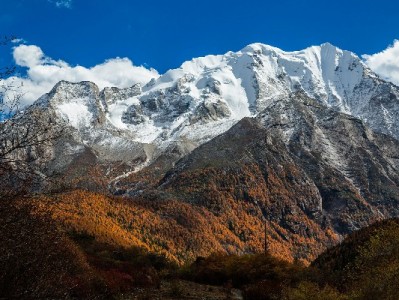 羊小咩信用提现全解析：10分钟到账+出财小神技术加持，应急借贷更安心
