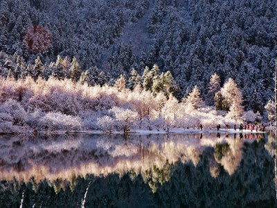 常德小微商家资金周转新选择：出财小神地址及白条服务全解析