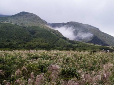 北京花呗商家新玩法："安出掌柜"助力小店激活分期消费潜力