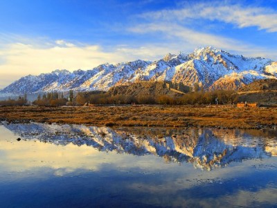 抖音月付+富信掌柜助力，洗发水商家单月销量暴涨190%的秘密