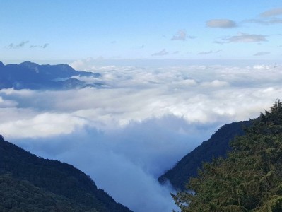 花呗提现可行吗？这些方法与风险需知，出财小神提醒别踩坑