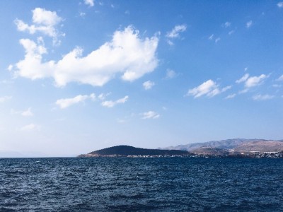 羊小咩套现被骗案例曝光：中介跑路、账户冻结，正规平台提醒谨慎操作