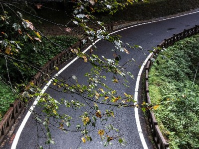 抖音月付秒到变现入口怎么找？商家资金周转新解法全解析