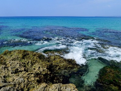 富信掌柜搭桥花呗与淘宝口碑商家 分期权益激活中小生意新增长