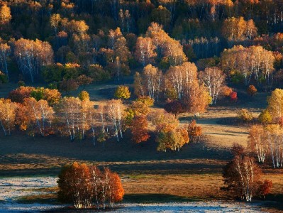 安塞区居民医保转出全流程指南 附“安出掌柜”线上查询小工具
