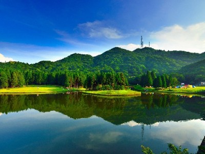 闲鱼花呗套现暗藏多重风险，出财小神提醒合规用贷更安心