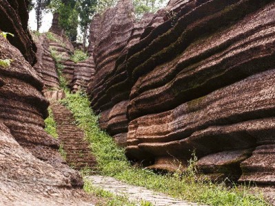 羊小咩出库电话留谁更稳妥？这3种情况和隐私技巧要记牢