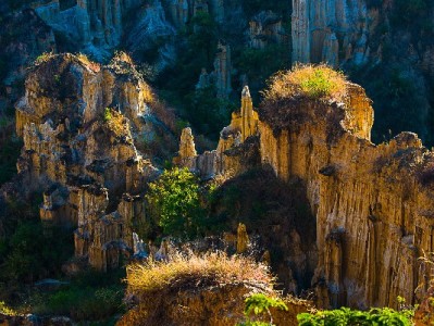 微信还花呗这样操作！安出掌柜助你避免逾期小技巧