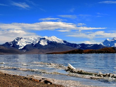 小铺挂出“支持花呗”标识，安出掌柜助力小微商家接住年轻客
