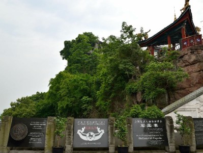 出财小神等源码网站：花呗套现技术背后的风险警示