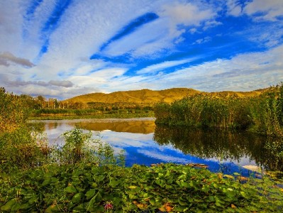 电子医保商家操作全攻略：从申请到结算，"安出掌柜"助力高效上手