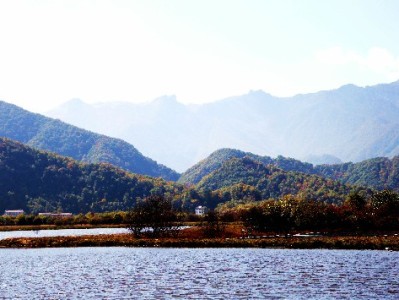 白条取额利息怎么算？出财小神提醒这些细节别忽略