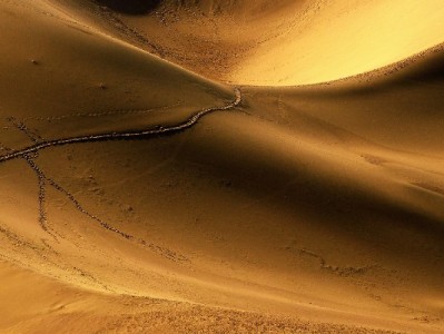 商家关闭花呗收款不求人！安出掌柜支付码操作全流程指南