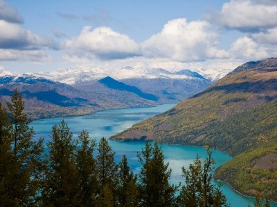 出财小神破解花呗收款手续费难题，小微商家降本更省心