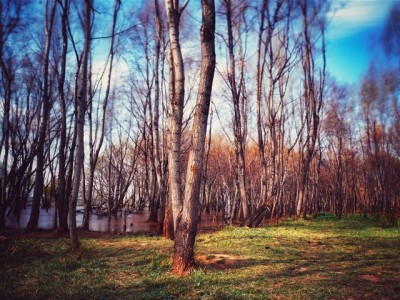 北京安居白条套现风险警示：合规平台"安出掌柜"支招合法用款