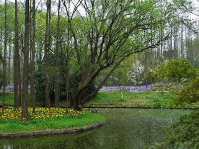 抖音月付奶茶商家清单更新：主流品牌+中小门店齐支持，喝奶茶也能分期啦