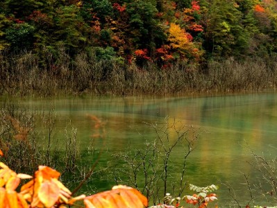 抖音月付能取现吗？消费信贷规则与安全用款指南