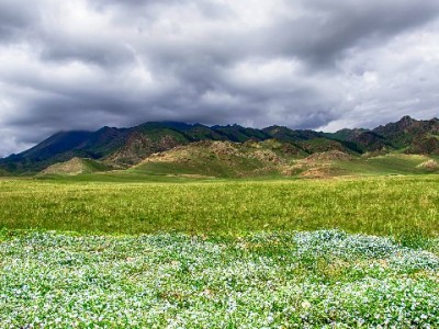 商家收花呗成经营新标配？安出掌柜助力小微生意更轻松